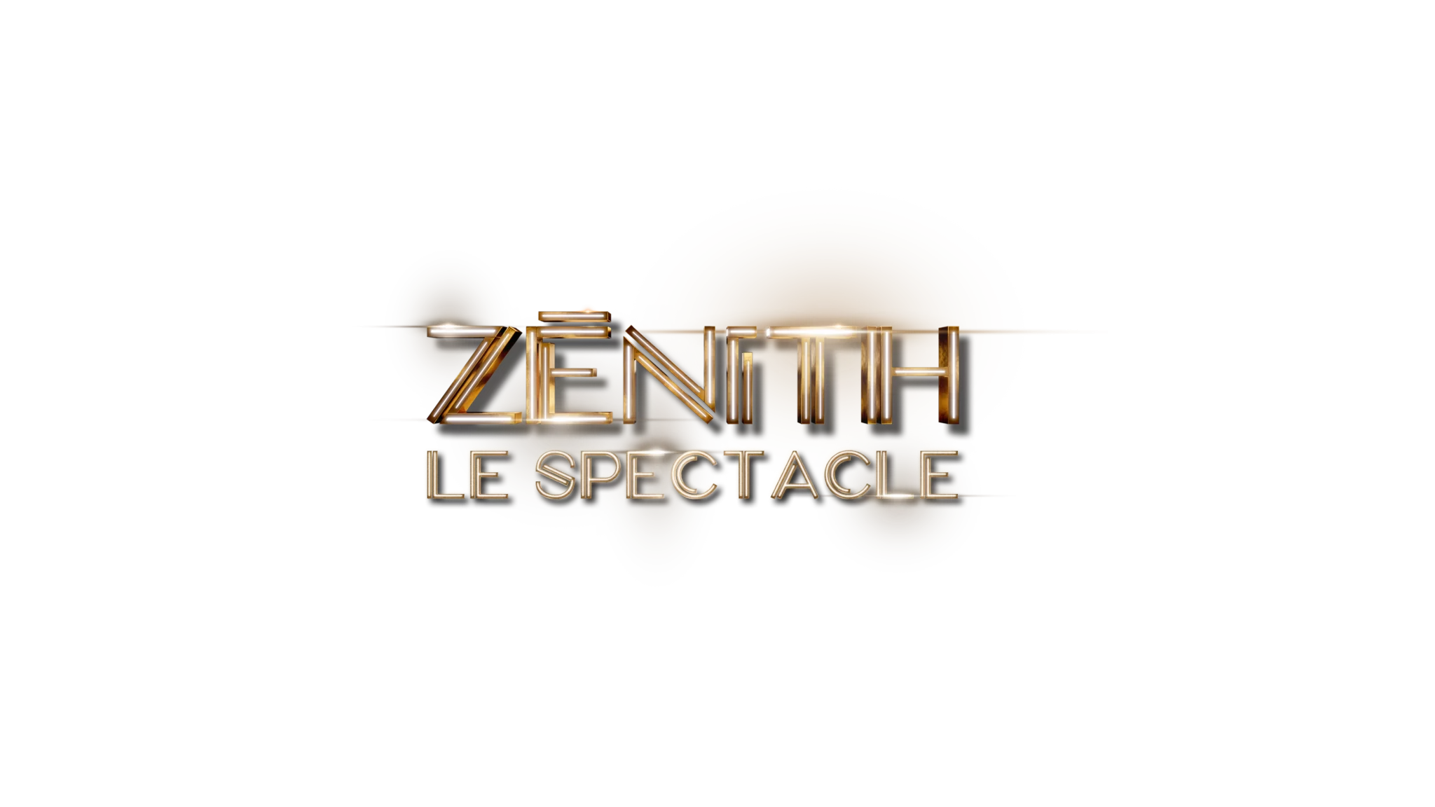 Zénith, le spectacle